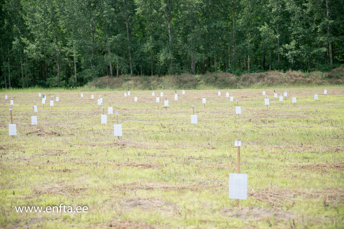 European Championship 2016